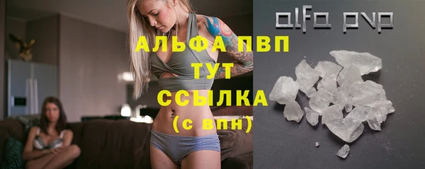 гашик Абаза