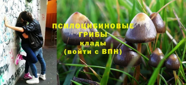 гашик Абаза