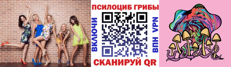закладка  Невельск  Галлюциногенные грибы Psilocybe 